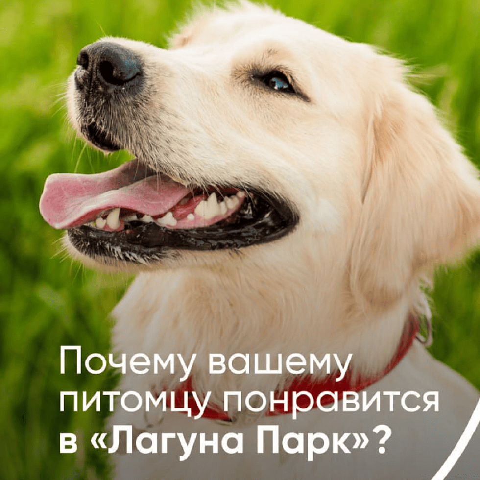 Лагуна Парк. Ваш питомец заслужил переезда в «Лагуна Парк»!